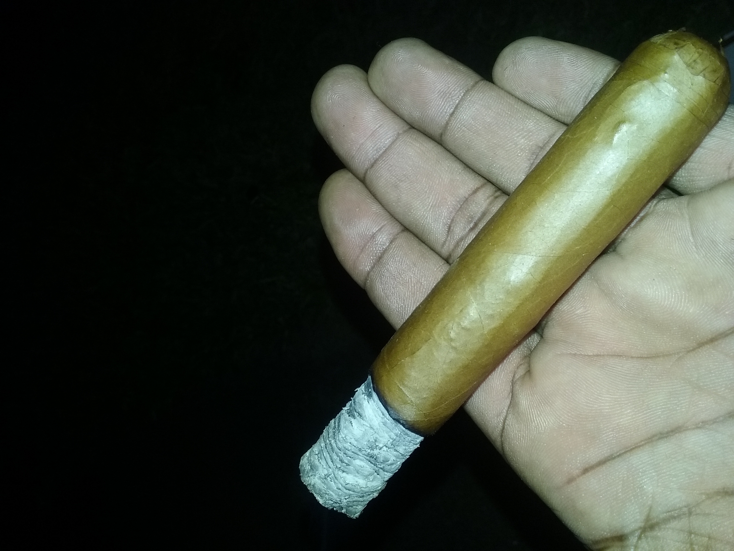 Isabella Sparkle Robusto