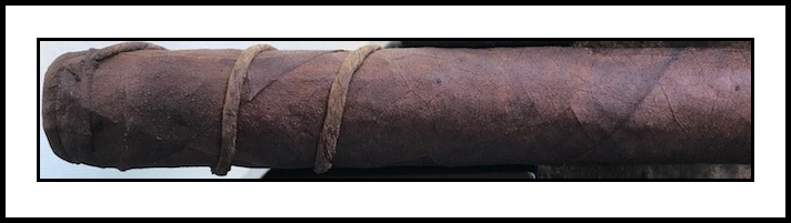 CAO Amazon Anaconda 2