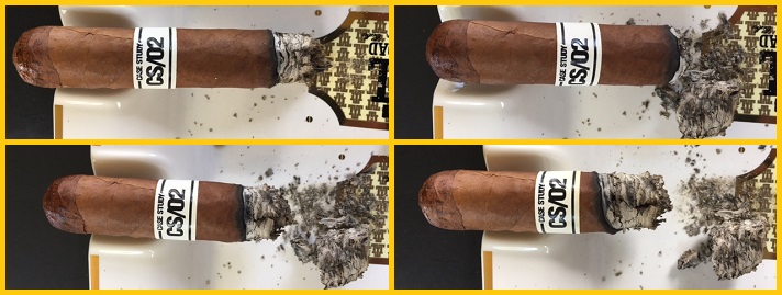 Case Study CS 02 Robusto 3