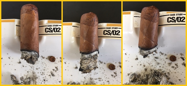 Case Study CS 02 Robusto 4